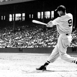 Ted Williams - swing